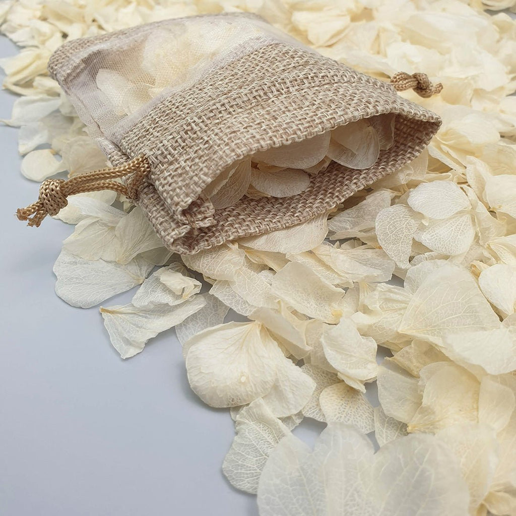 Vintage Ivory Hydrangea Petals - Confetti Bee